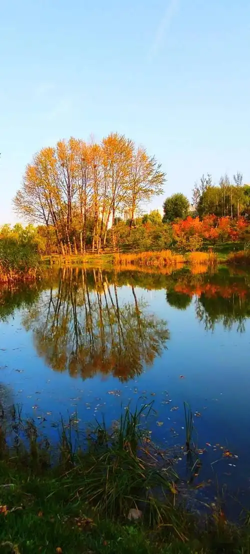 秋色撩人,走进西宁最美的秋天!
