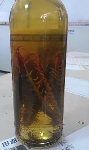 蜈蚣酒