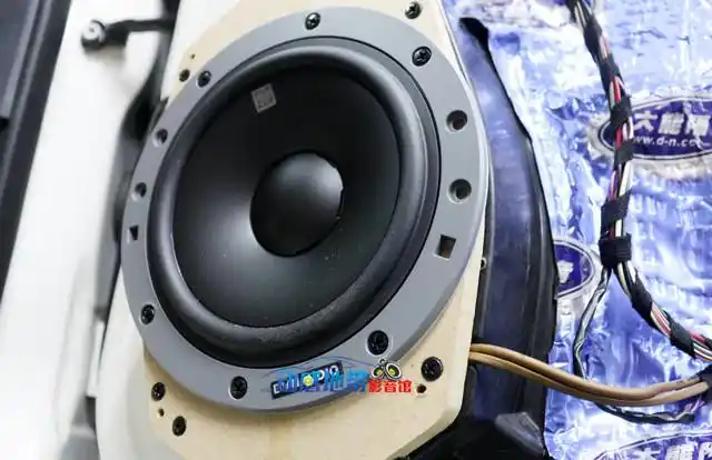 9丹拿eston 232特写.jpg