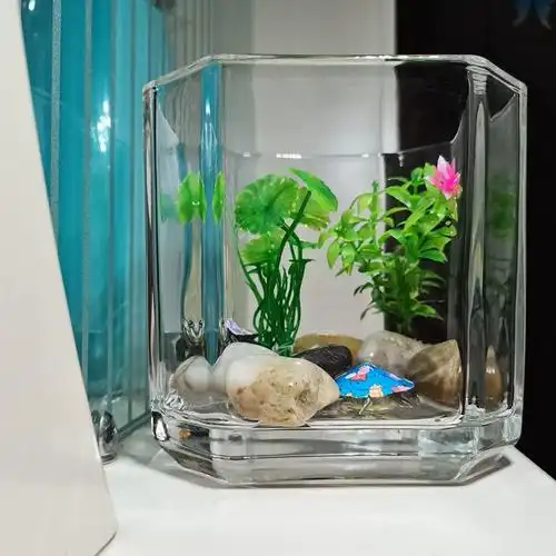 小鱼缸透明方形玻璃金鱼缸乌龟缸创意八角办公室桌面加厚迷你方缸