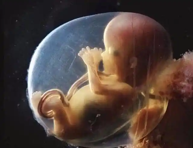 孕晚期后想知道胎儿营养够不够,看看胎盘级别就知道了!