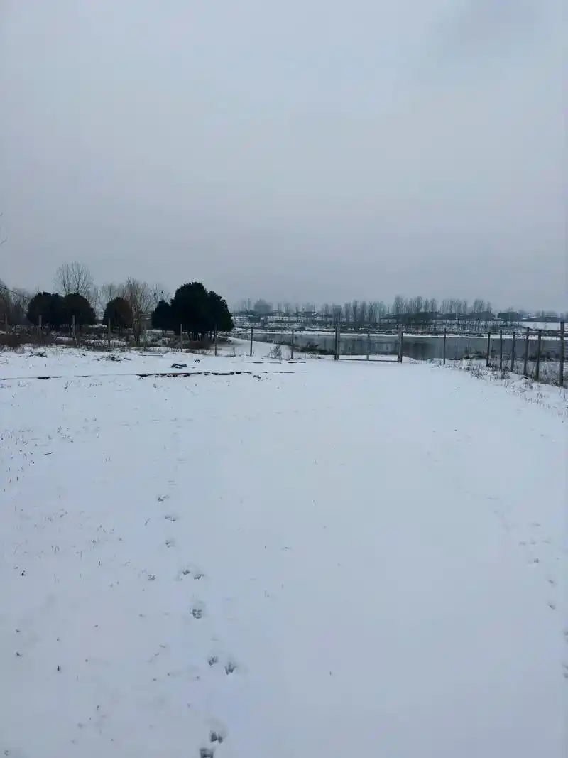 醒来之后外面白茫茫的雪地,好些年没有下这大的雪了,祝钓友们小 - 抖