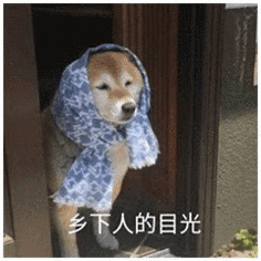 com 一看就不是什么好人 孤久成瘾`采集到萌宠表情包  采集 fa