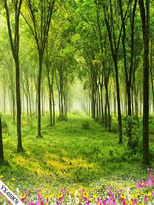 直播背景布3d立体直播间装饰主播竹林山水田园外景快手网红背景墙