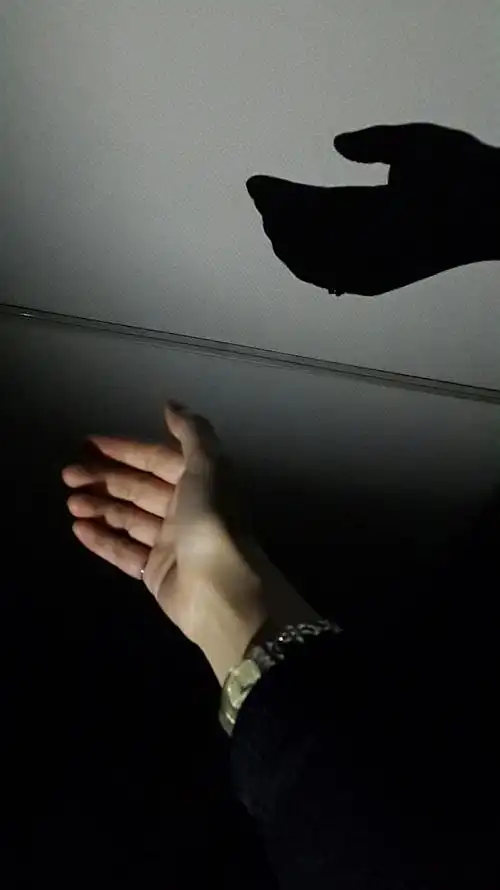 玩一晚上的影子游戏,也不会显得我多小清新.