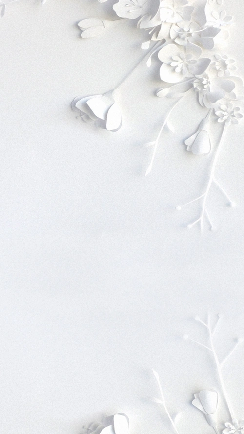简约白色花朵h5背景素材