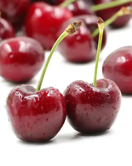 世果汇 美国车厘子500g 单果23-25mm