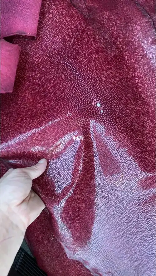 酒红色魔鬼珍珠鱼皮