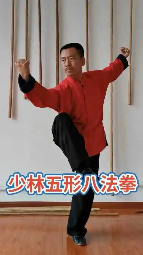 少林五形八法拳_腾讯视频