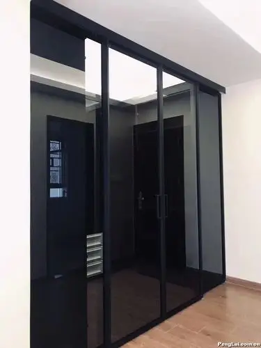 科凡全屋定制窄框玻璃门 时尚