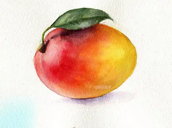 用水彩教你画水果初级课程(组合)