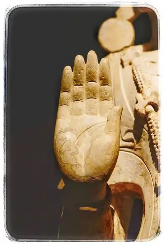 右手上举,五指并拢,掌心向前,施无畏印.