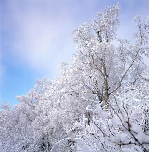 壮观的雪景,好在我们可以通过这美丽的照片来感受一下冰雪世界的氛围