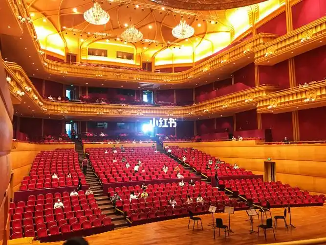 琴台大剧院暑期艺术节