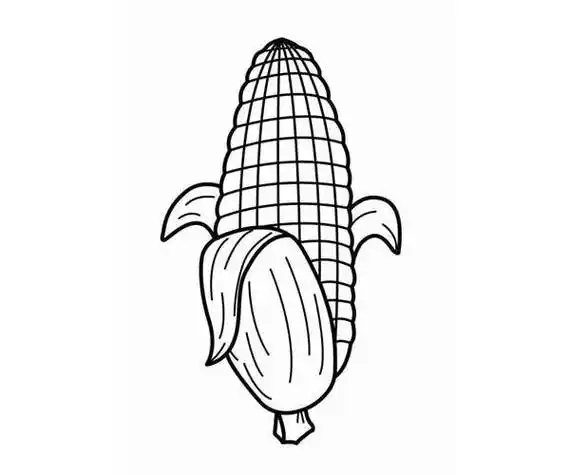 玉米简笔画 玉米简笔画可打印