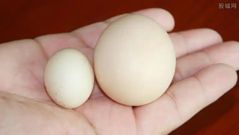 人造鸡蛋怎么鉴别 关注