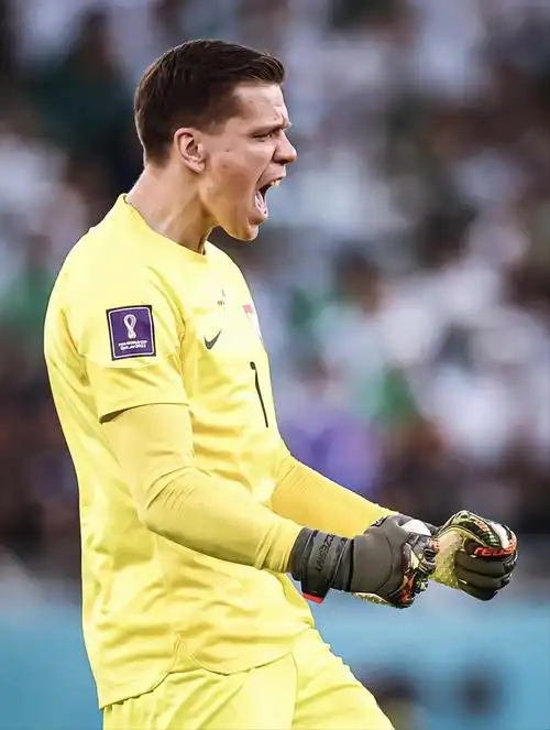 p data-id="gnwjgrm2ta">沃伊切赫·什琴斯尼(wojciech szcz  sny)