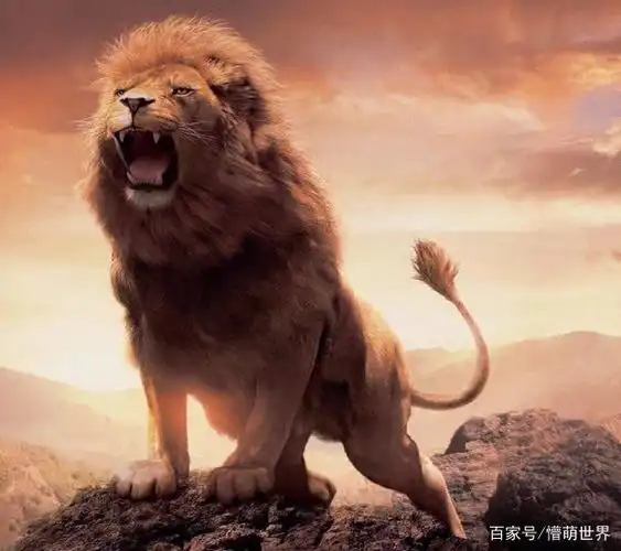 为什么是"狮吼功"不是其他吼功?狮子的声音为何如此大?