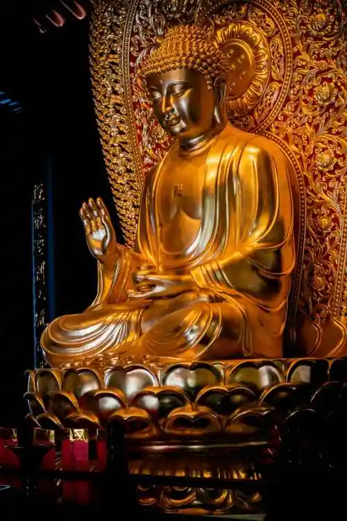 药师佛结跏趺坐于莲台之上,左手托钵,右手曲臂当胸结无畏印.