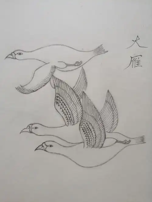 大雁
