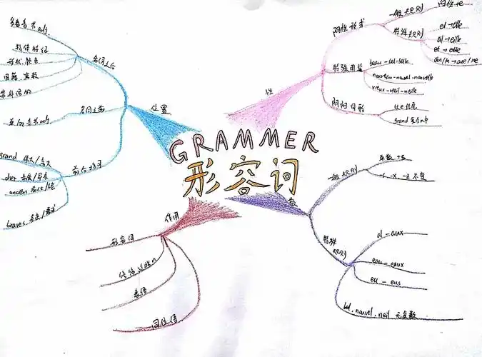 博颖教育思维导图培训班陈嘉睿第八幅法语语法形容词总结