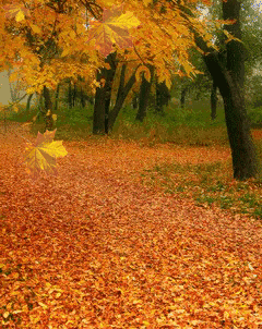 240_302竖版 竖屏gif 动态图 动图