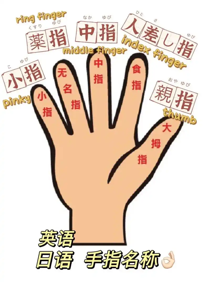 操碎了老妈子的心啊 🤭🤭🤭 一张图 让你学会了 手指名称 🖐
