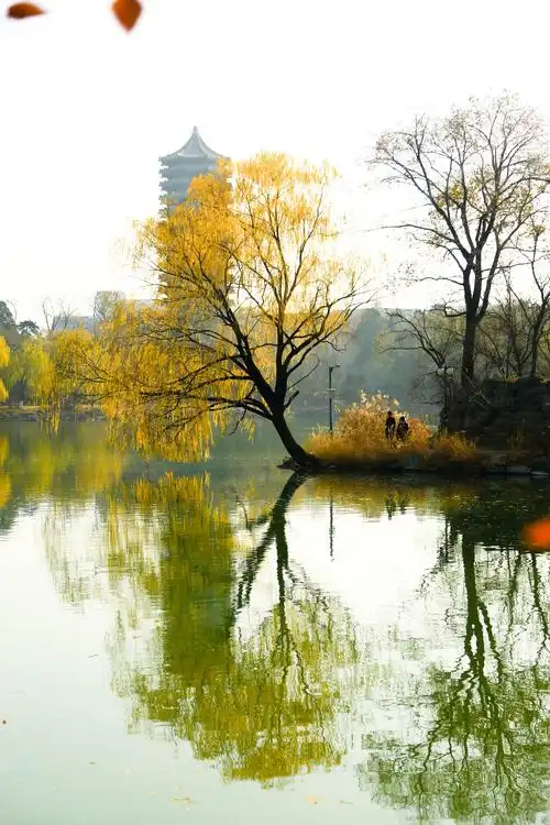 北京大学校园美景