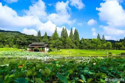 雨后的植物园更加的清新自然防佛走进了大草原