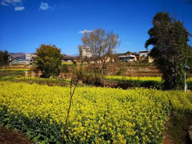四川省凉山彝族自治州会理市果元乡五官村六组周边村庄五官村地址