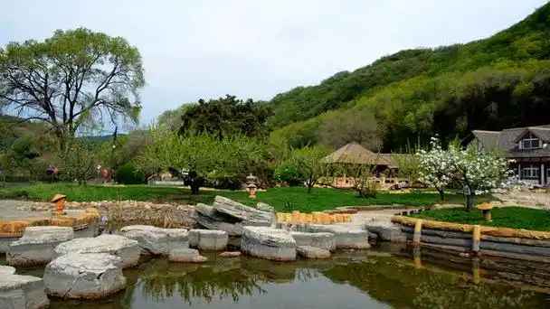 感受奇妙的大自然,看北方的花开季,今天我们一起走进沈阳国家森林公园