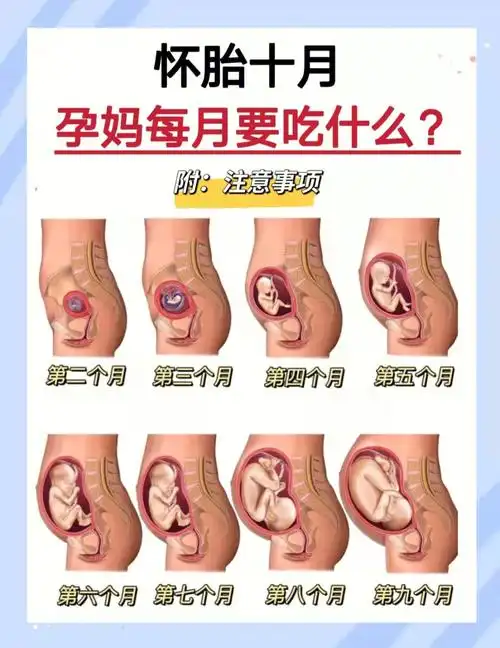 怀孕十月营养补充注意事项干货