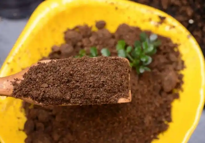 自制有机肥的发酵方法