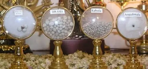 南怀瑾 舍利_元音老人谈南怀瑾