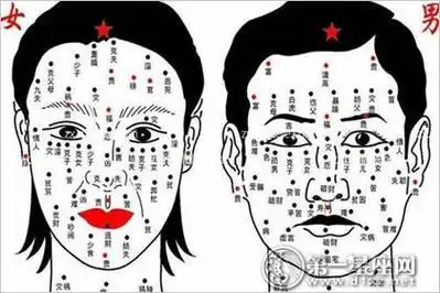 左下巴有痣的女人天生能够为自己的伴侣带来更多地事业成就感,因为