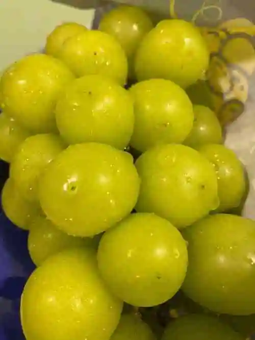 瑟芬妮儿8月31日 15:13打分[薄荷]73境:店面比较小里面的水果比较多