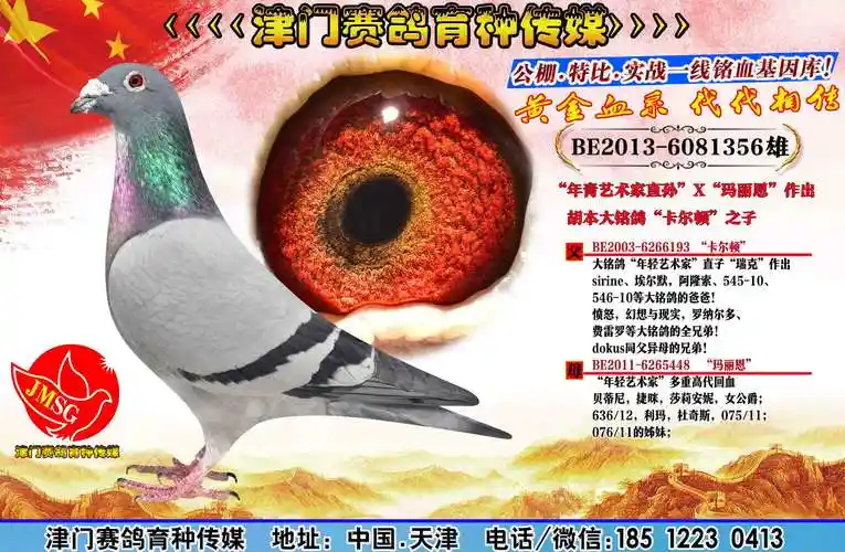 胡本大铭鸽卡尔顿之子