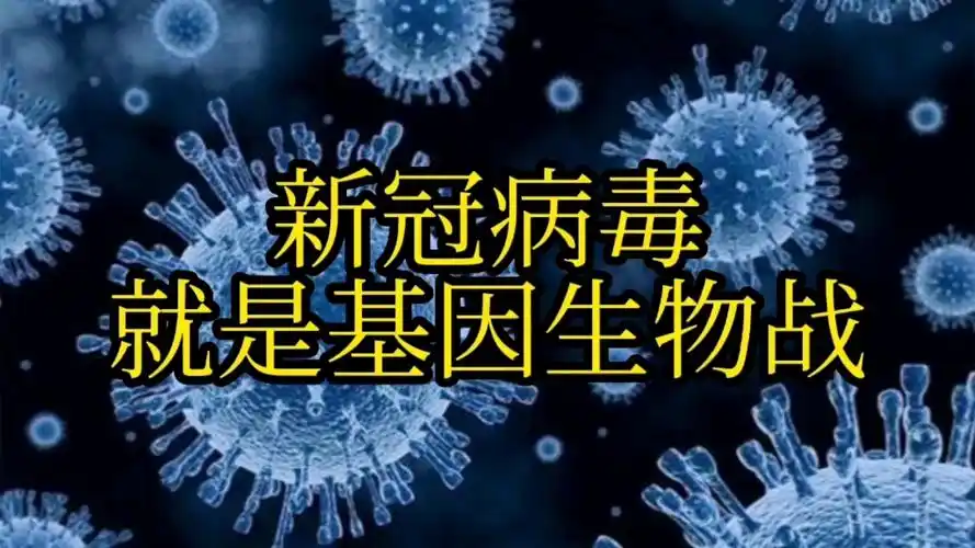 新冠病毒就是美国基因生物战_哔哩哔哩_bilibili