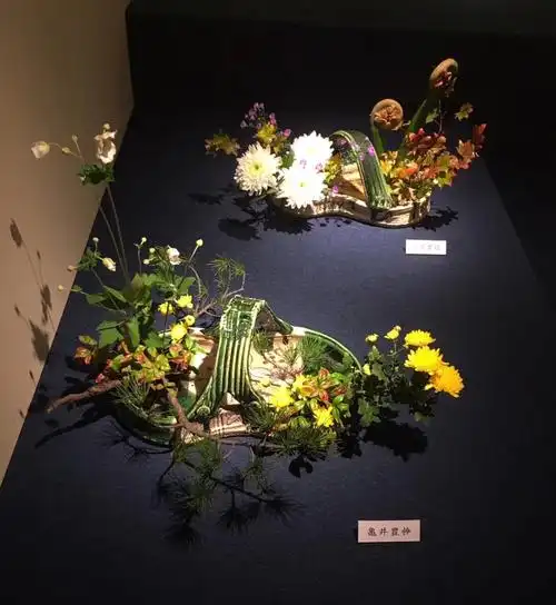小原流第96周年东京支部花展前期作品分享(最高规格)——日本东京最