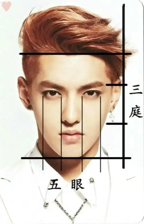 国内那个明星最符合三庭五眼黄金比例脸?