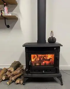 铸铁壁炉真火家用燃木欧式客厅取暖独立式民宿别墅农村自建房采暖