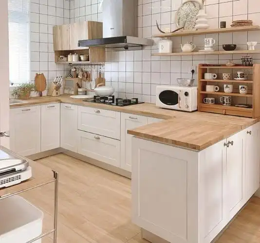 细菌及带来健康隐患|样板间效果图总价仅需65万起建面约75﹐舒适两居