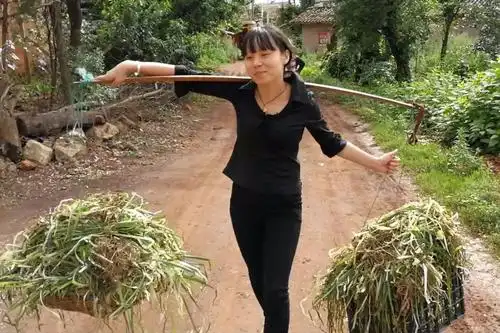 视频:农村姑娘 挑担子,看着就心疼!