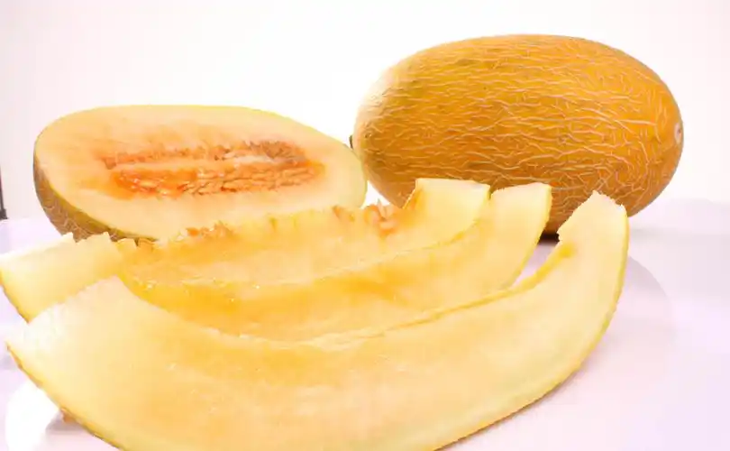 怀孕中期能吃哈密瓜吗 怀孕八个多月能吃哈密瓜吗