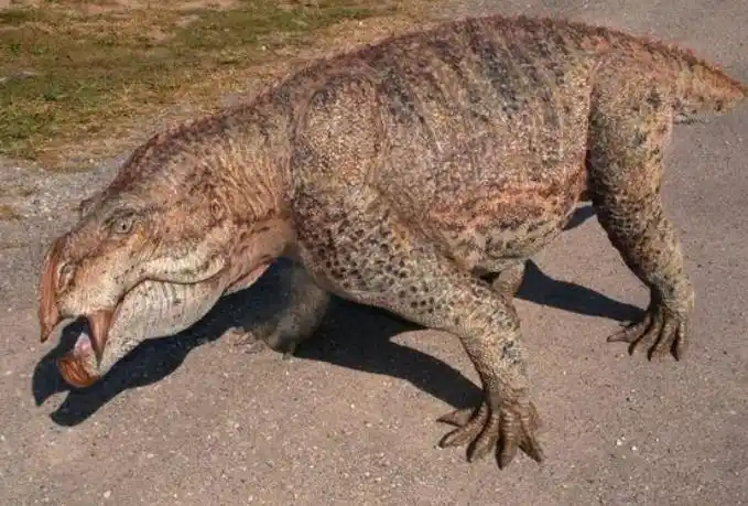 恐猪,一般叫做恐颌猪,是远古时期巨猪科下的一种,生活习性上类似于古