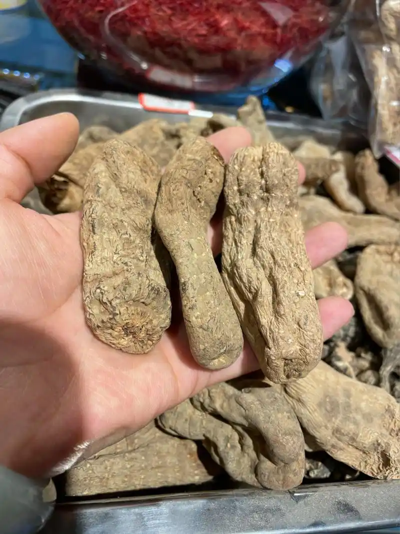 野生天麻长这样~ 图里有云南的野生天麻,和西藏林芝波密的野生天麻