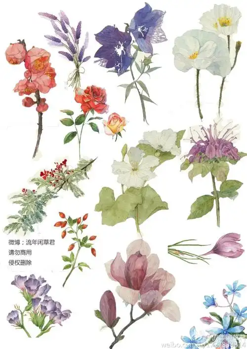 手帐素材拼贴by七饼大王