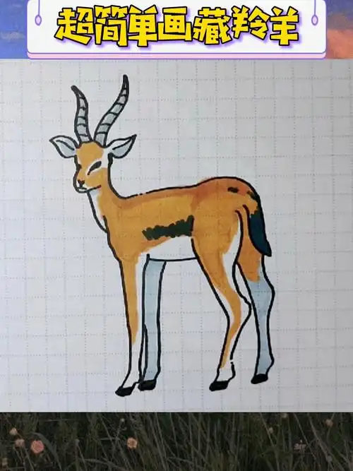 超简单画藏羚羊