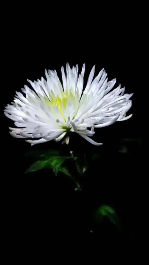 节哀顺变,英雄一路走好.