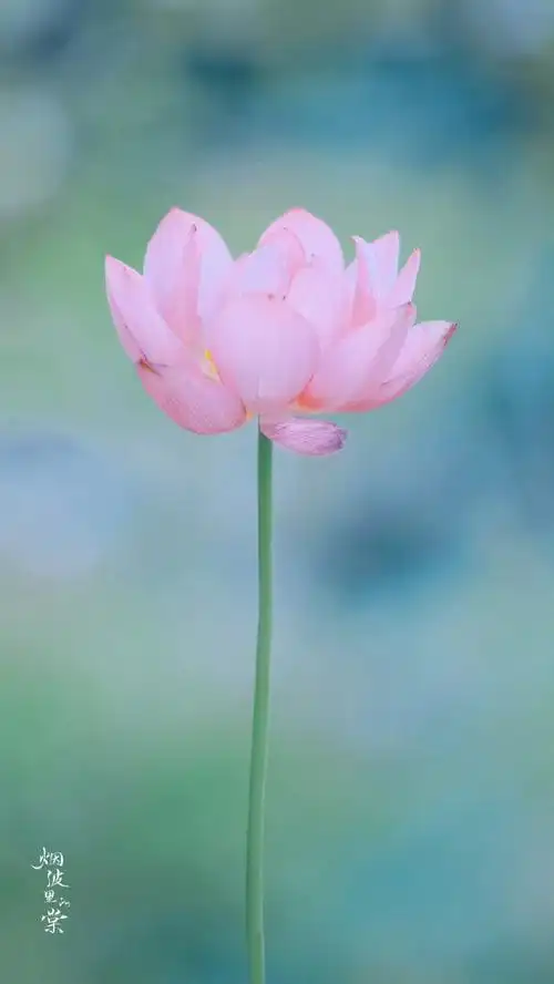 #回家路上一本书##新书推荐屋#